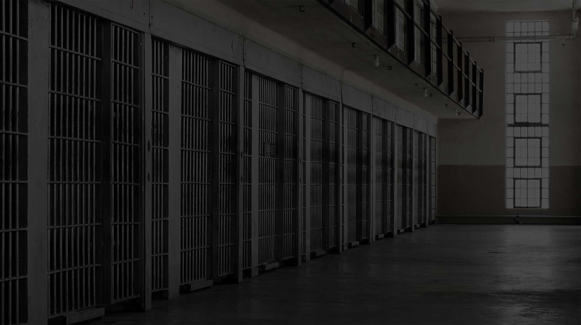 legal thriller crime fiction